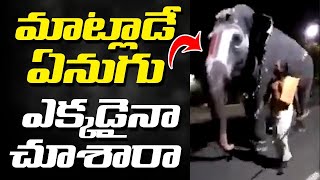 మాట్లాడే ఏనుగు ఎక్కడైనా చూశారా? | Elephant Talking in Srirangam Temple in Kerala |