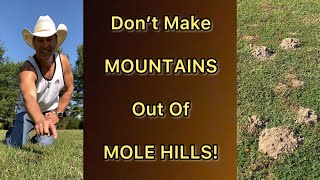 Don’t Make Mountains Out Of Molehills…