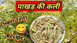 फुटकल की सब्जी / पाकड़ कली सब्जी / How to make pakad kalli