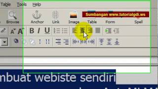 NVU Basics.flv