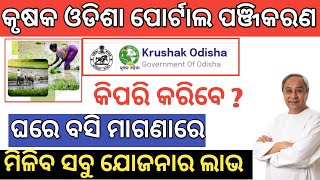 Krushak Odisha Portal Online Apply || Krushak Odisha Registration Process || Krushak Odisha Benifits