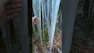 The frozen wonder of ICICLES ! #frozen #icicles #ice