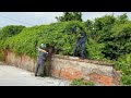 Clearing the weeds covering the old abandoned roof and the hidden sad story