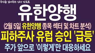 [유한양행 주가전망] 2월 5일 유한양행 종목 섹터 및 차트 분석! 피하주사 유럽 승인 '급등' ! 주가 앞으로 '이렇게'만 대응하세요 !    #유한양행 #유한양행주가전망