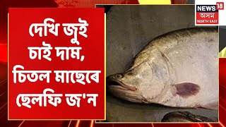 Nagaon Fish Market | নগাঁৱত চেলফি উঠিবলৈয়ো কৰা হৈছে চিতল মাছৰ সৈতে ব্যৱস্থা