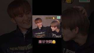 マークが兄やるとき【NCT DREAM マーク チョンロ / 엔시티드림 마크 천러】《日本語》#nctdream  #mark #chenle #엔시티드림 #마크 #천러 #マーク #チョンロ