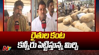 Kurnool: గిట్టుబాటు ధర లేక... మిరప రైతు కంట కన్నీరు | Mirchi Farmers | Ntv