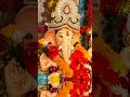 Jai Shri ganpati bappa morya #sukhkarta_dukhharta_devacha_dev_tu_ganpati #tranding_kids_songs