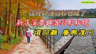 不須走遠這裡落羽杉也紅了 廣興落羽杉秘境 項羽灘 廣興渡口 Guangxing Baldcypress Secret Land and Xiangyutan Guangxing Ferry