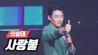 신승태 💕 사랑불 💕 2024 신승태 신(新) 바람 콘서트