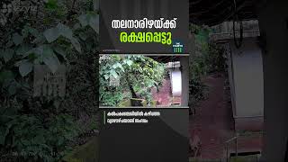 മലപ്പുറത്ത് കുട്ടികൾക്ക് നേരെ പാഞ്ഞടുത്ത് തെരുവ് നായ്ക്കൾ. കൽപകഞ്ചേരിയിൽ കഴിഞ്ഞ വ്യാഴാഴ്ചയാണ് സംഭവം