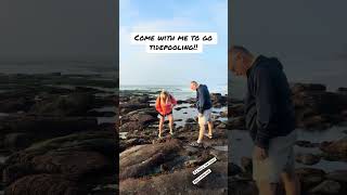 Come with me to go tide pooling in La Jolla, San Diego!