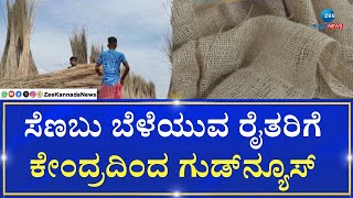 Jute Farming | ಕಚ್ಚಾ ಸೆಣಬಿನ ಬೆಂಬಲ ಬೆಲೆ 315 ರೂ.ಗೆ ಹೆಚ್ಚಳ