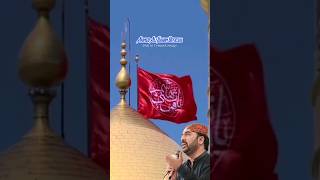 Ghazi Abbas Alamdar #Karbala #Muharram #ahmedalihakimofficial #ahmedalihakim #youtubeshorts #youtube