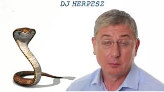 DJ HERPESZ - Feri és a Kígyók