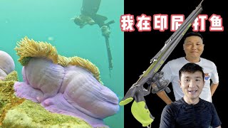 《印度尼西亚》第22天：粉丝朋友第1次使用渔枪，居然也打到大鱼！#环球旅行 #旅行攻略 #indonesia #印度尼西亚 #赶海 #渔猎