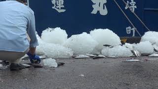 銚子漁港　第三水揚げ