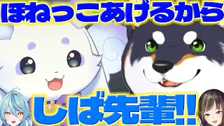 【しば先輩!】初ホラゲで泣くちょまをあやすしばちゃん【ルンルン/珠乃井ナナ/黒井しば/早瀬走/にじさんじ/新人ライバー】