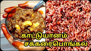 பாரம்பரிய காட்டுயானம் சக்கரை பொங்கல் | Kaatuyanam rice pongal | traditional rice pongal | Sweet