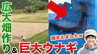 自然の川で、巨大ウナギ捕まえました…！