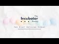 The Incubator Reality Initiative