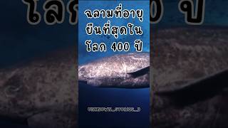 ฉลามกรีนแลนด์ ฉลามที่อายุยืนที่สุดในโลก 400 ปี#รู้หรือไม่