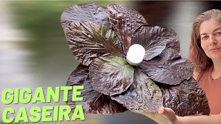 IDEIA BRILHANTE‼️Flor Gigante luminária usando folhas secas que estavam na estrada