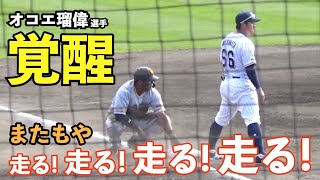 巨人オコエ瑠偉選手、開幕スタメンか⁉︎打撃練習では柵越え連発！キューバ戦に続きヤクルト戦でもダイヤモンドを駆け巡り猛アピール！読売ジャイアンツ 春季キャンプ オープン戦