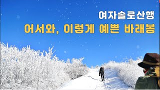 정신 나간 여자의 지리산 바래봉-팔랑치-산덕마을 원점회귀 산행