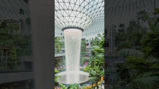 Exploring world’s best airport Changi Airport Singapore #singapore #changiairport  #jewelchangi