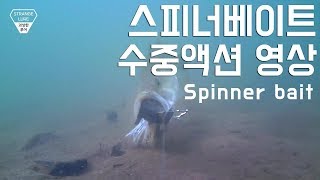 Spinnerbate Underwater Action/Bath Underwater Photography / spinner bait under water video