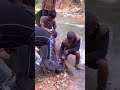 amazing process..digging treasure. we found gold treasure goldmining goldprospecting shortvideo