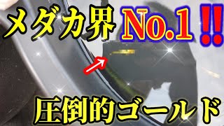 メダカ界No.1の圧倒的ゴールドめだか‼️舞メダカ作出レクリス鰭長を撮します‼️とにかくゴージャス‼️次回のめだかはあの個体を……安らぎAQUAちゃんねる