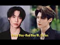 14 Best Bad Boy/Good Boy BL Series!