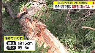 虹の松原で接触事故 落ちていた松の枝で車擦る 運転手にケガなし【佐賀県唐津市】 (23/10/12 18:11)