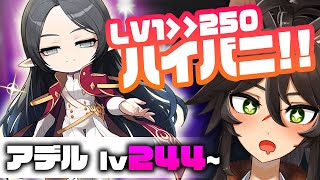 【めいぽ】ハイバニでサクサク？ハイレフの騎士・アデル育成！Lv244~ /아델/Adele/JMS【両神ナギ/Vtuber/メイプルストーリー/ハイバニ】