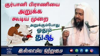 குர்பானி பிராணியை அறுக்க கூடிய முறை அறுக்கும்போது ஓதும் துஆ_ᴴᴰ┇உமர் ஷரீஃப் இப்னு அப்துஸ்ஸலாம்┇