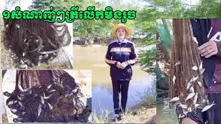 មិនដែលបង់សំណាញ់បានត្រីដូចថ្ងៃនេះ