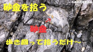 鉱物の砂金を拾い歩く【視聴回数1万回】　pick up gold dust