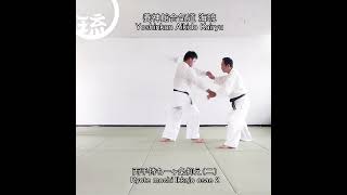 両手持ち一ヶ条抑え（二）Ryote mochi Ikkajo osae 2 #shorts #aikido #martialarts #travel