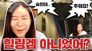 ㄹㅇ 이건 2호선도 나와야한다...[리얼 지하철게임 Hmmsim Metro]