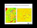 predation starvation and stress in migrating serengeti wildebeest with dr grant hopcraft