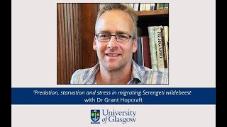 'Predation, starvation and stress in migrating Serengeti wildebeest with Dr Grant Hopcraft