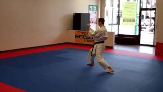 Junro Godan (slow motion) - Warren Levi Karate