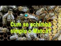 Metodă simplă de schimbare a matcilor