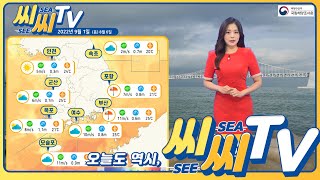 [See Sea TV] 2022년 9월 1일 제주도, 동해안 너울 주의! / 해양예보 On바다