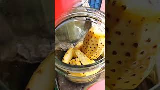 pineapple kanthari  soda | pineapple soda | kanthari soda #shorts #shortvideo #soda