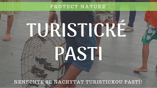 🐘 TURISTICKÉ PASTI / Co jsou zač a proč jsou špatné?