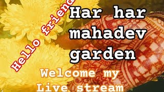 Welcome to my live stream hello friends how are you? 🍀🌿✨🌸🌼🏵️🙏 Namaste ✨