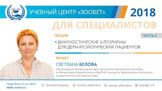 Светлана Белова в УЦ ЗООВЕТ | Дерматология. Часть 2/2